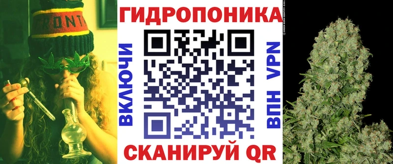 Бошки марихуана SATIVA & INDICA  Купить закладки  Ленинск-Кузнецкий 